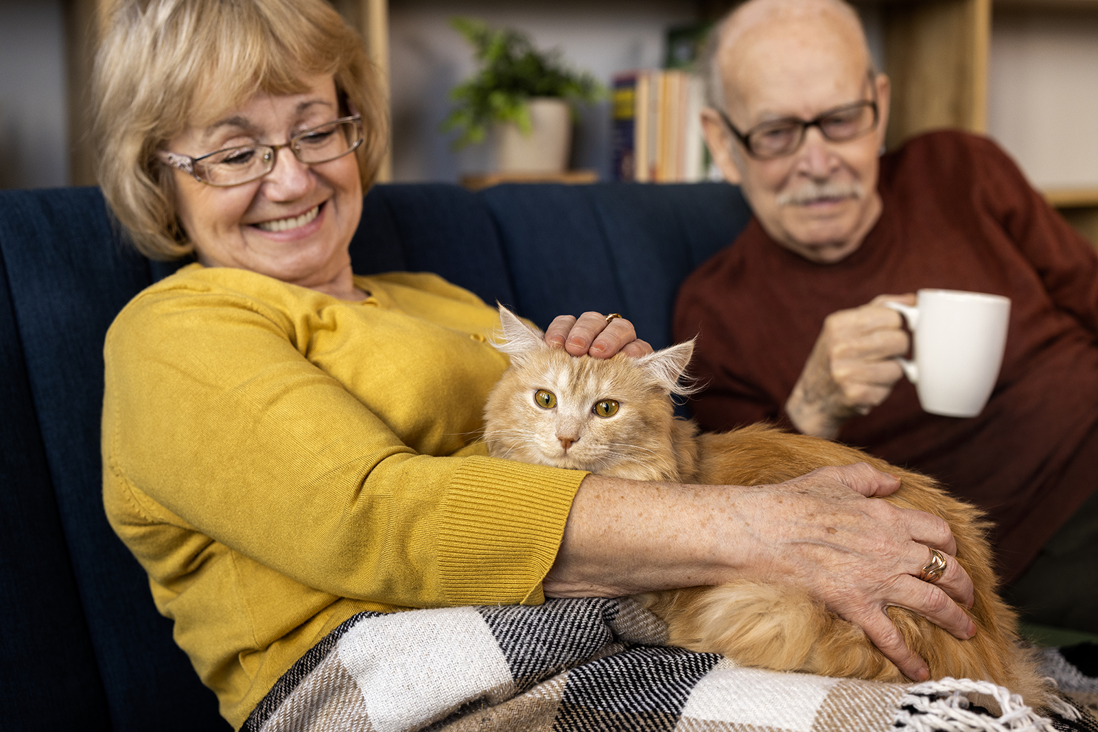 An elderly couple enjoying the company of their pet cat while relaxing on the sofa.
